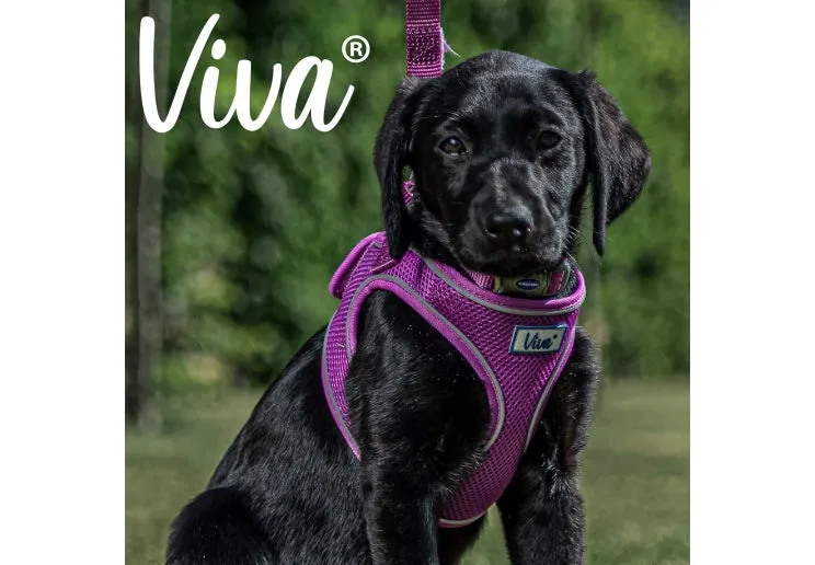 Ancol - Viva Step-in Harness - Lime - Small