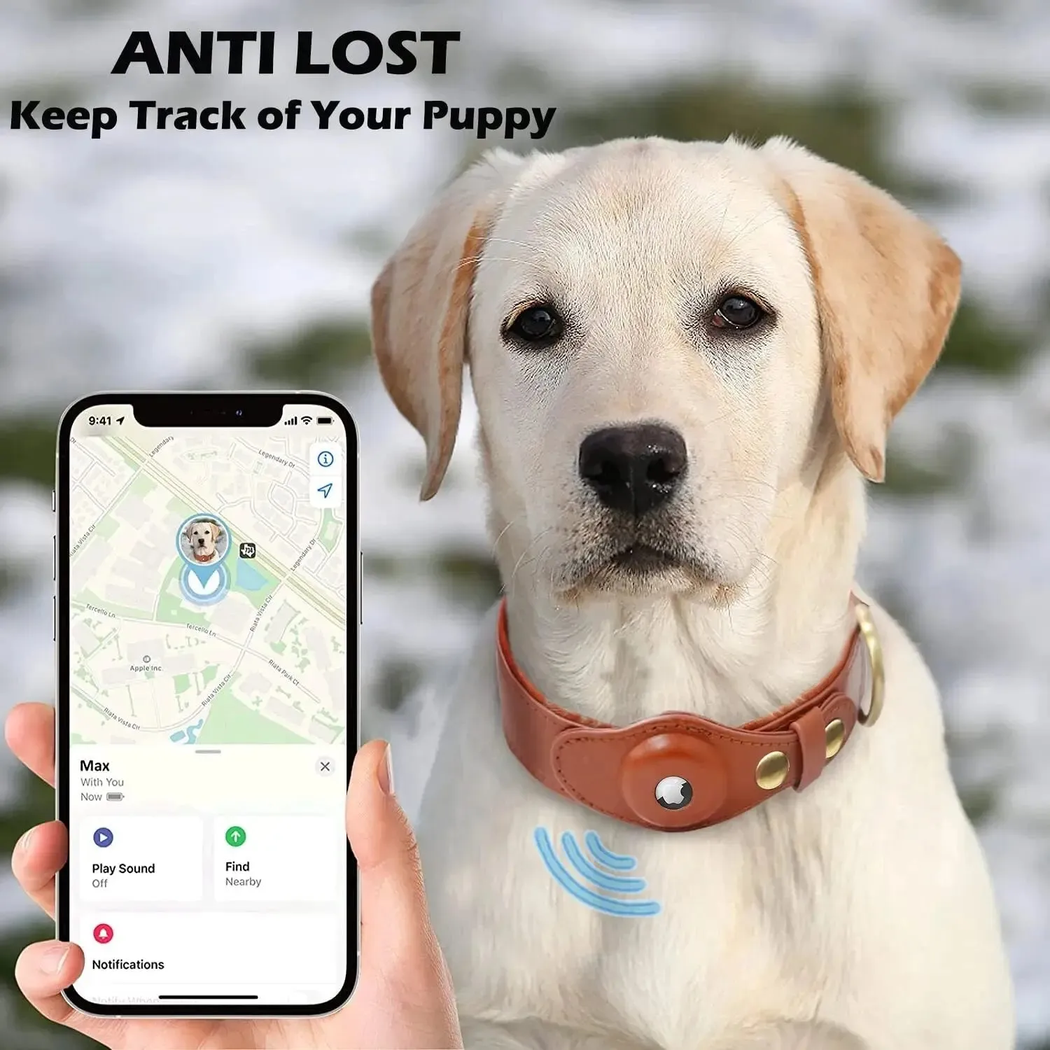 Anniepaw New Removable Locating Pet Collar AirTag Collar Anti-Lost Dog Tracker Protective Case Dog Collar Outdoors Walking Pet Supplies