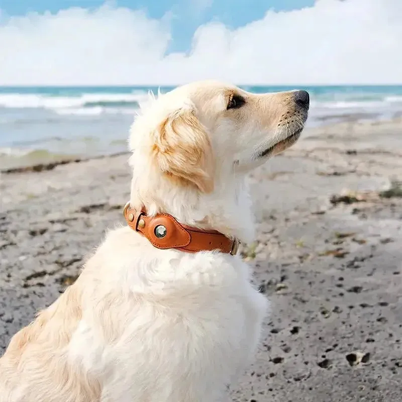 Anniepaw New Removable Locating Pet Collar AirTag Collar Anti-Lost Dog Tracker Protective Case Dog Collar Outdoors Walking Pet Supplies