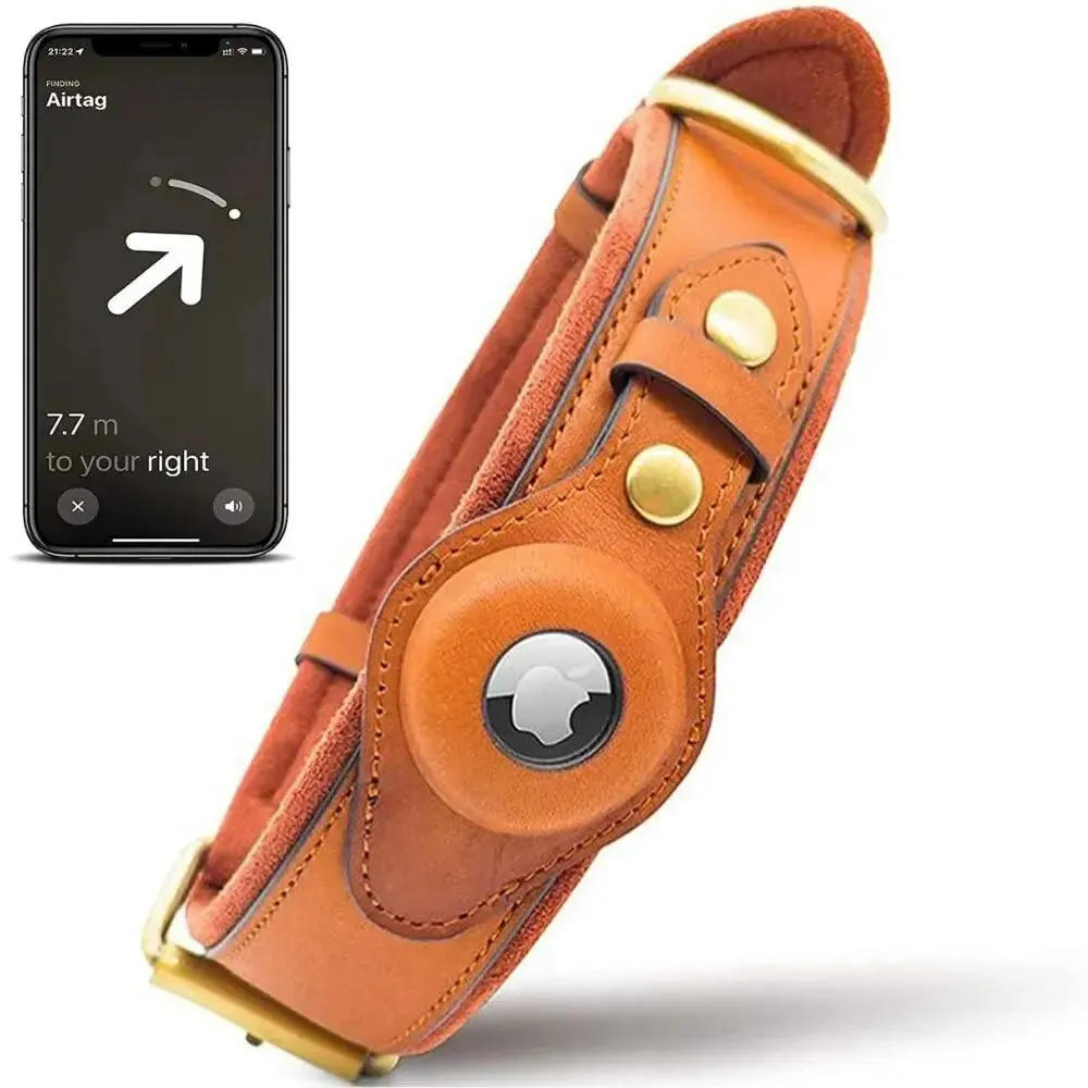 Anniepaw New Removable Locating Pet Collar AirTag Collar Anti-Lost Dog Tracker Protective Case Dog Collar Outdoors Walking Pet Supplies