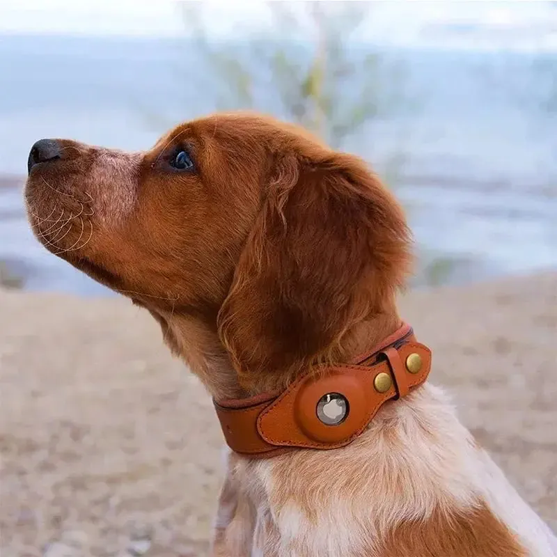 Anniepaw New Removable Locating Pet Collar AirTag Collar Anti-Lost Dog Tracker Protective Case Dog Collar Outdoors Walking Pet Supplies