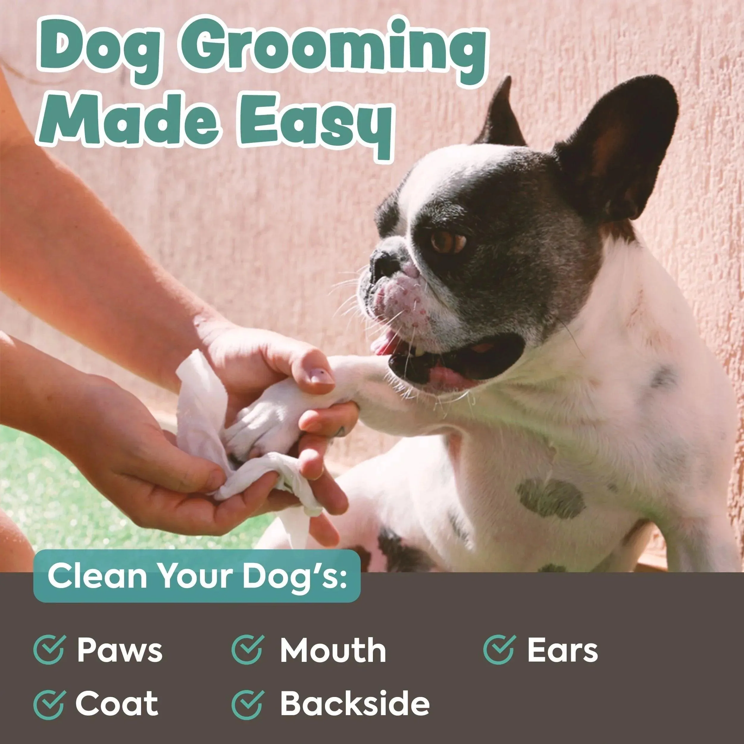 Bark & Clean Pup Dry Wipes