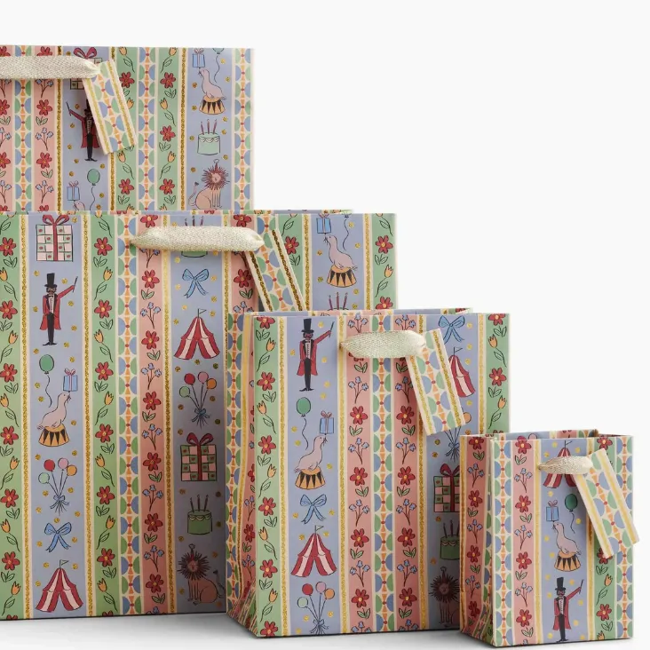Carnival Gift Bag (Small)