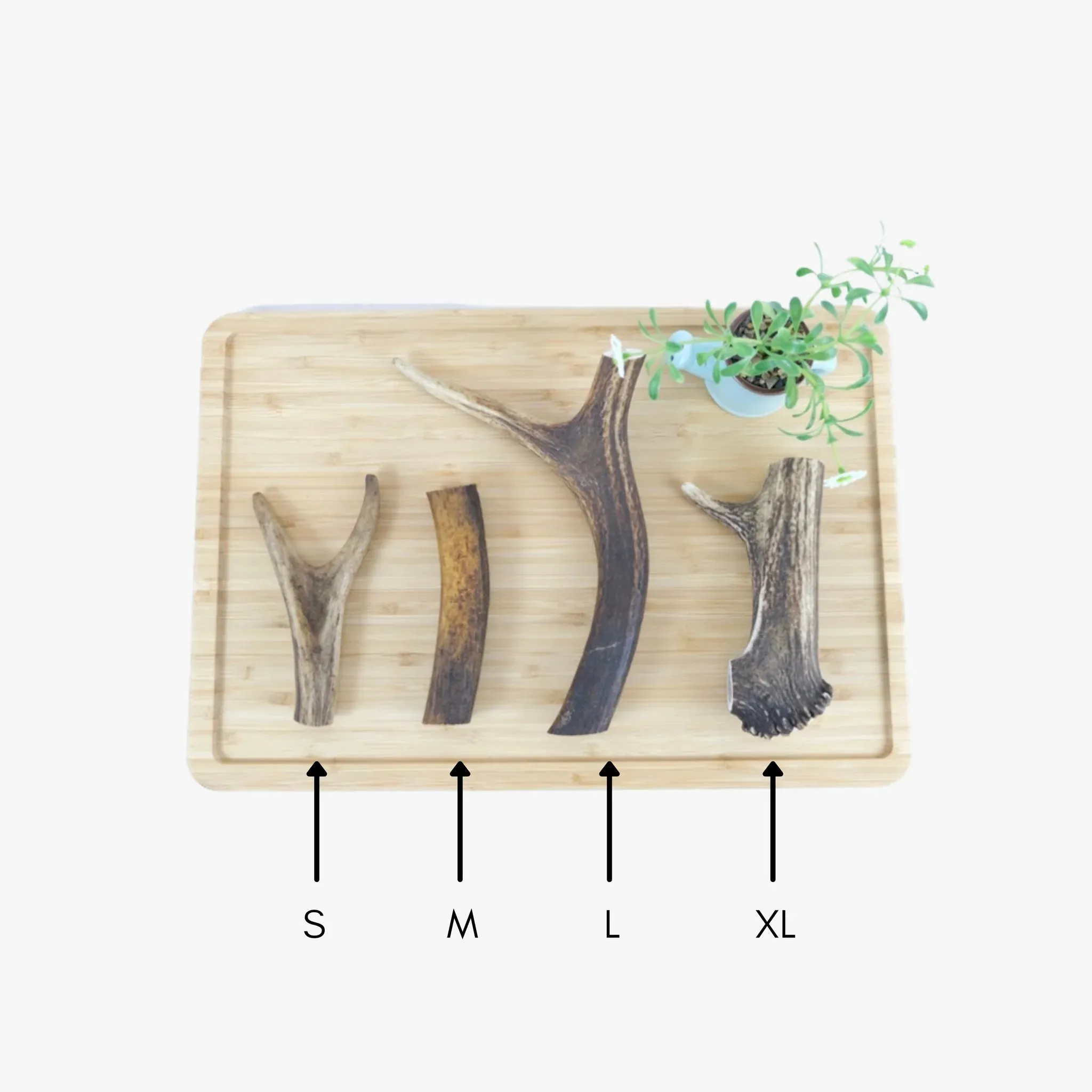 Highland Antler